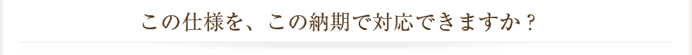 この仕様を、この納期で対応できますか？